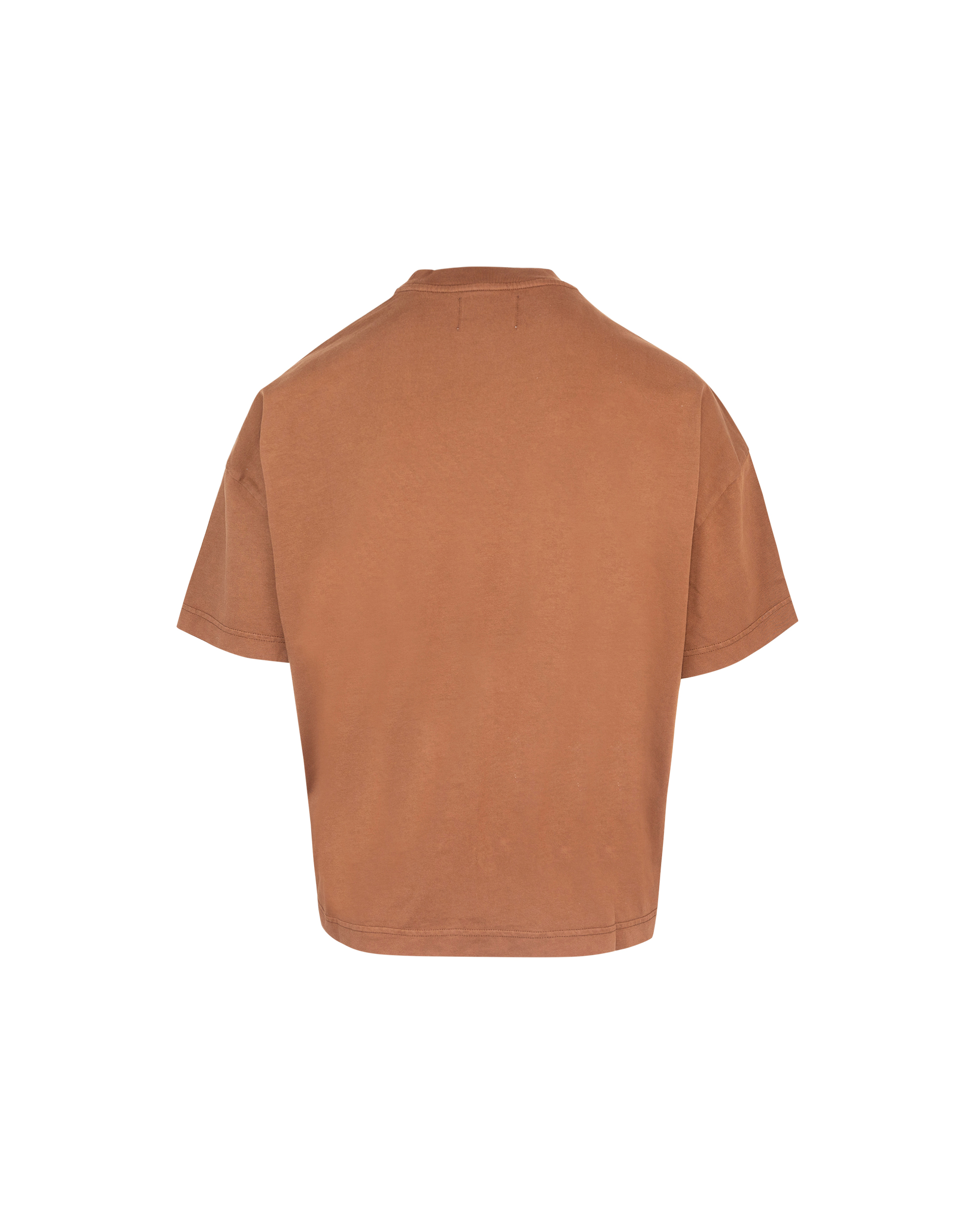 Shop Bonsai Clothing T-shirt Grafica Oversize In Glzginglazed Ginger